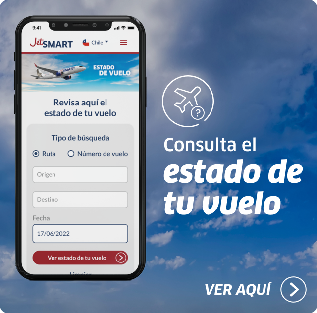 Estado de vuelo